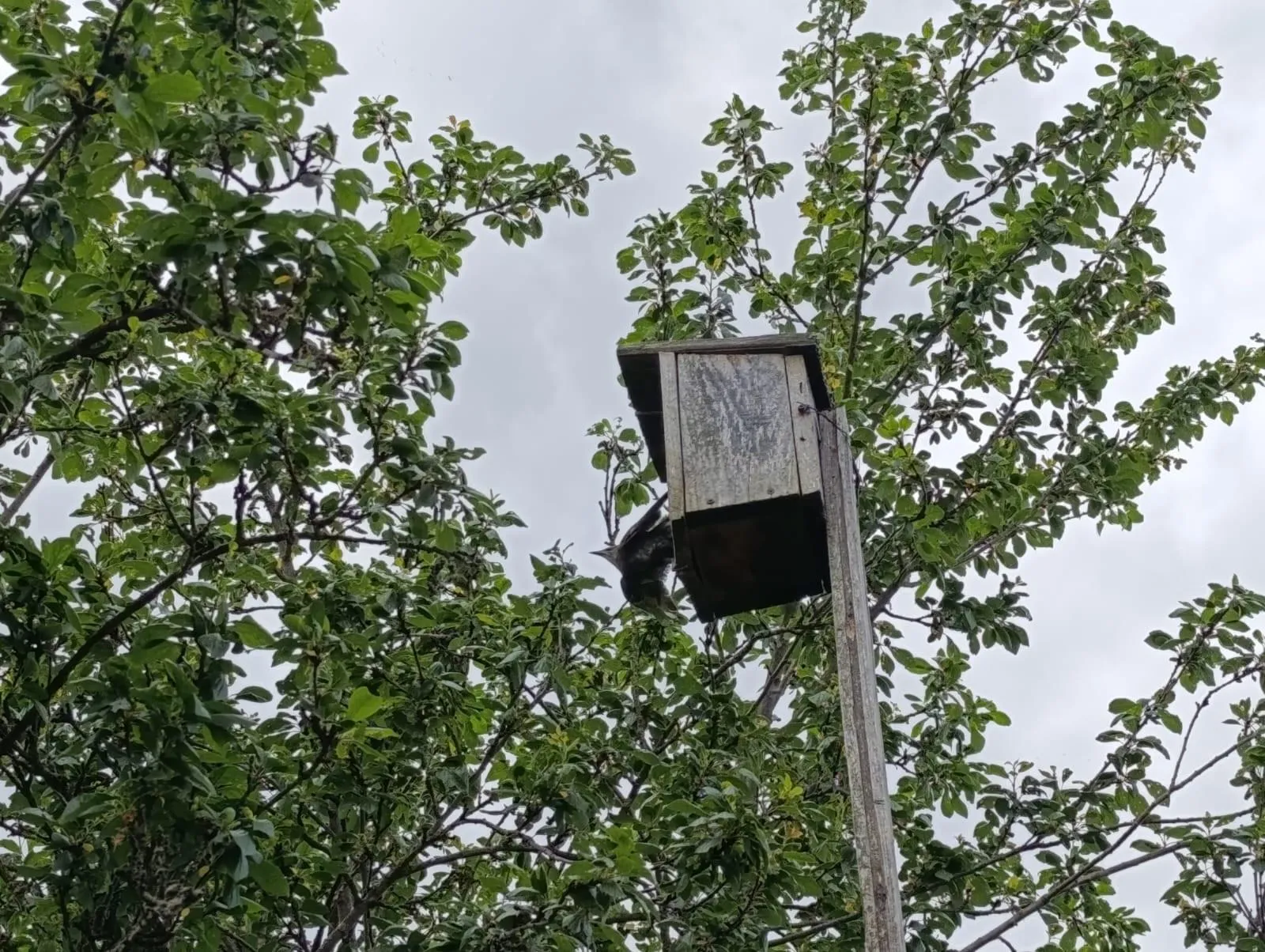 Фото: ГКУ МО «Мособлпожспас»