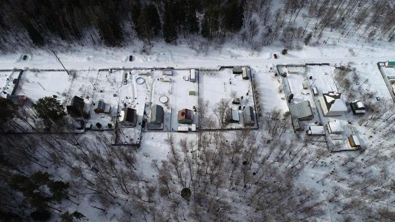 Комитет лесного хозяйства Московской области