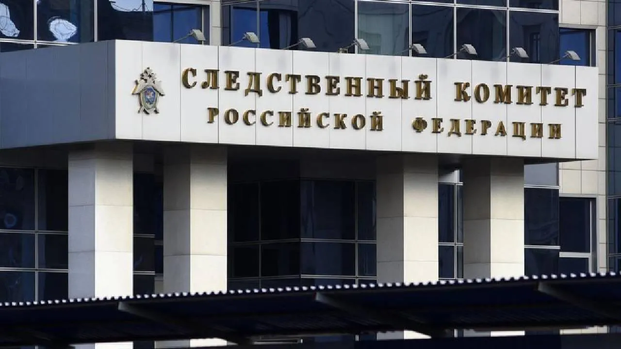 В СК назвали причину смерти котенка семьи под Красноярском
