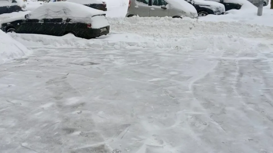 Фото: пресс-служба администрации г.о. Химки