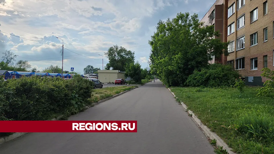 Фото: Александр Стёпушкин