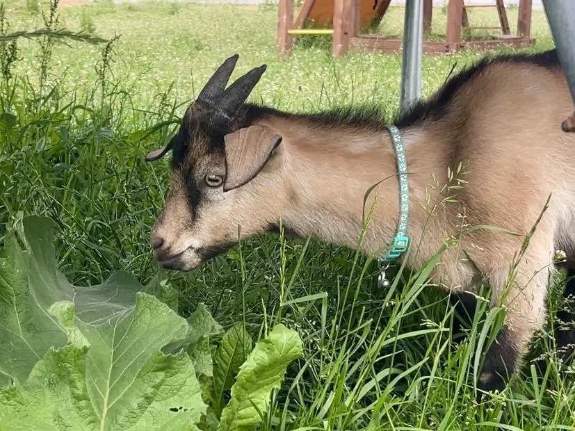 Фото: Анна Тюрюмина&nbsp; &nbsp;