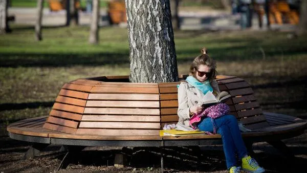 Тепло и солнечно будет в Подмосковье во вторник 