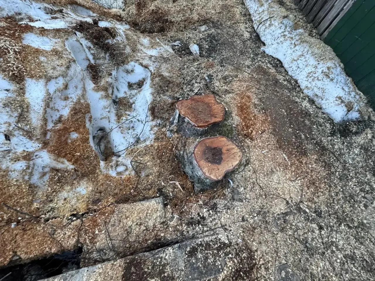 REGIONS/Татьяна Сташенко