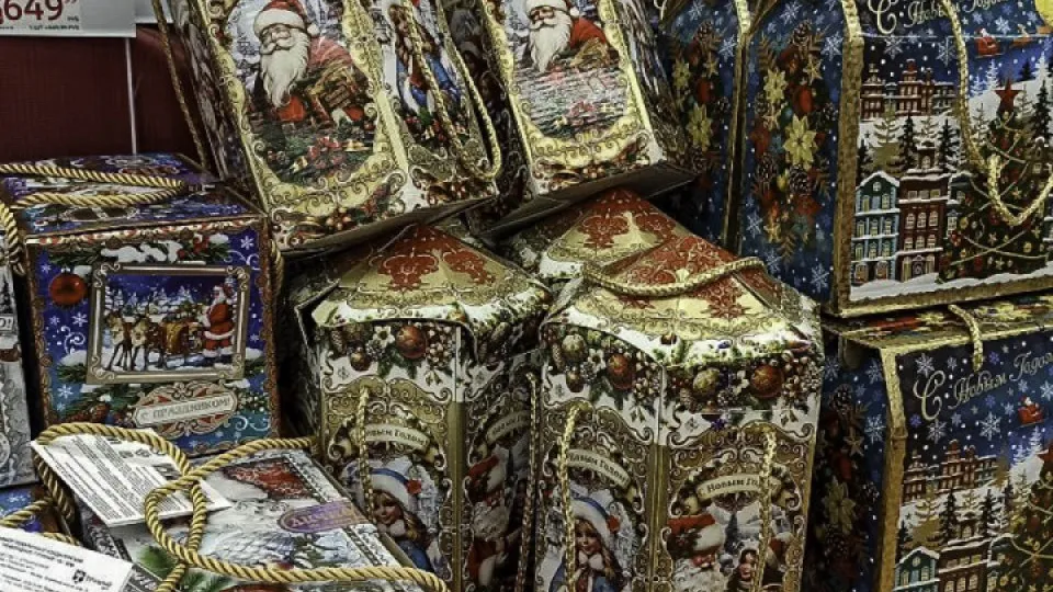 Фото: REGIONS/Эльвира Сафина