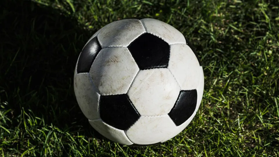 Фото: freepik.com