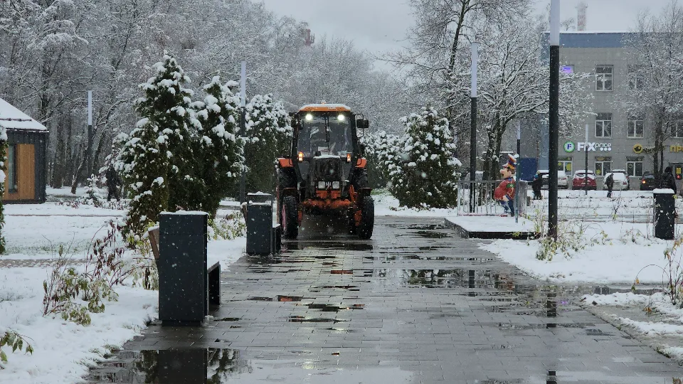 Фото: МедиаБанк Подмосковья/Юлия Смагринская