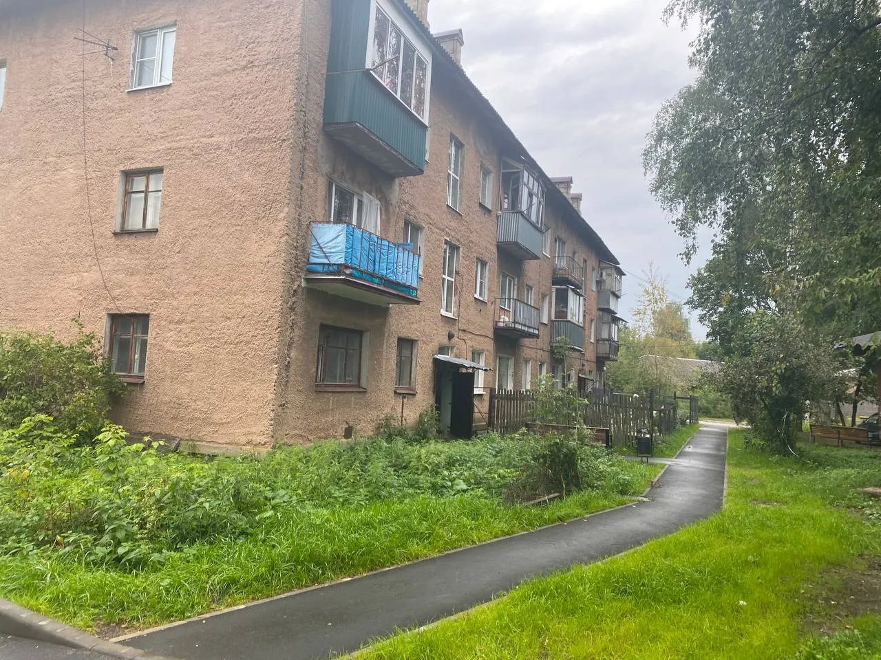 Фото: пресс-служба администрации г. о. Лосино-Петровский