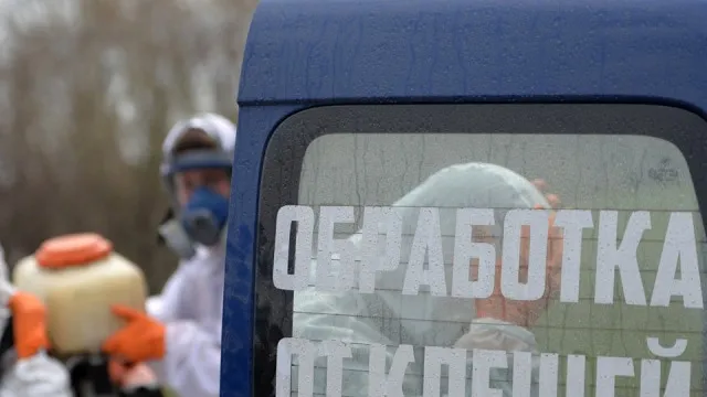 Фото: РИА Новости/Павел Лисицын