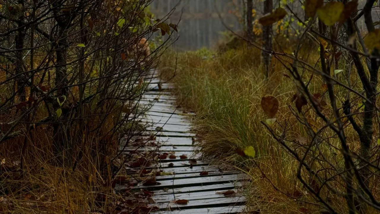 Фото: Марина Алифанова