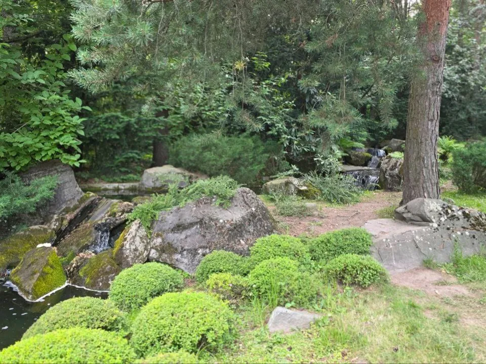 Фото: REGIONS/Ольга Ковалева