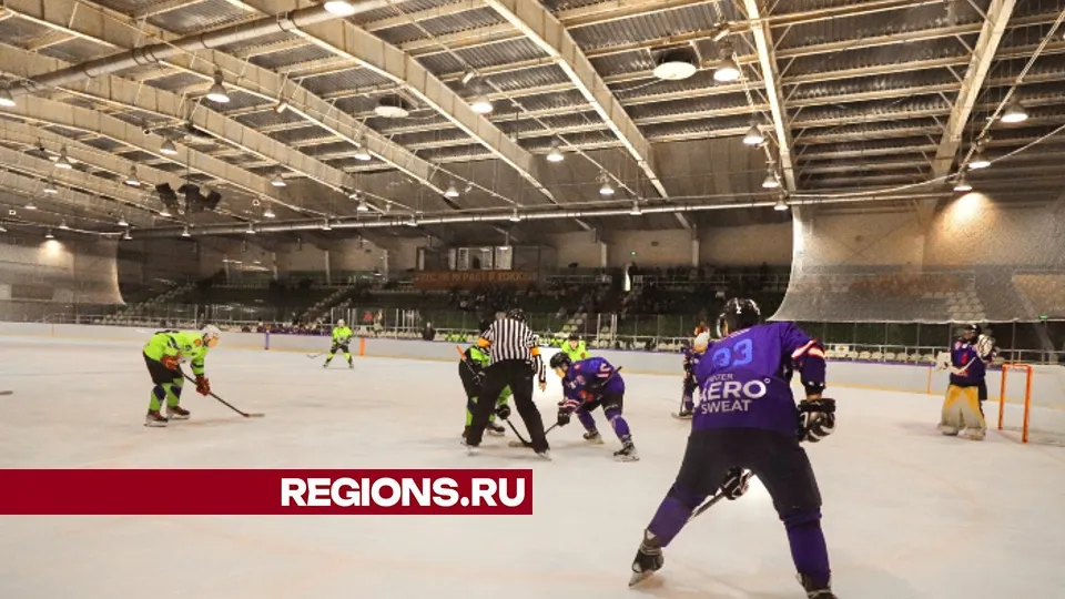 Фото: МедиаБанк Подмосковья/Данила Кирьянов