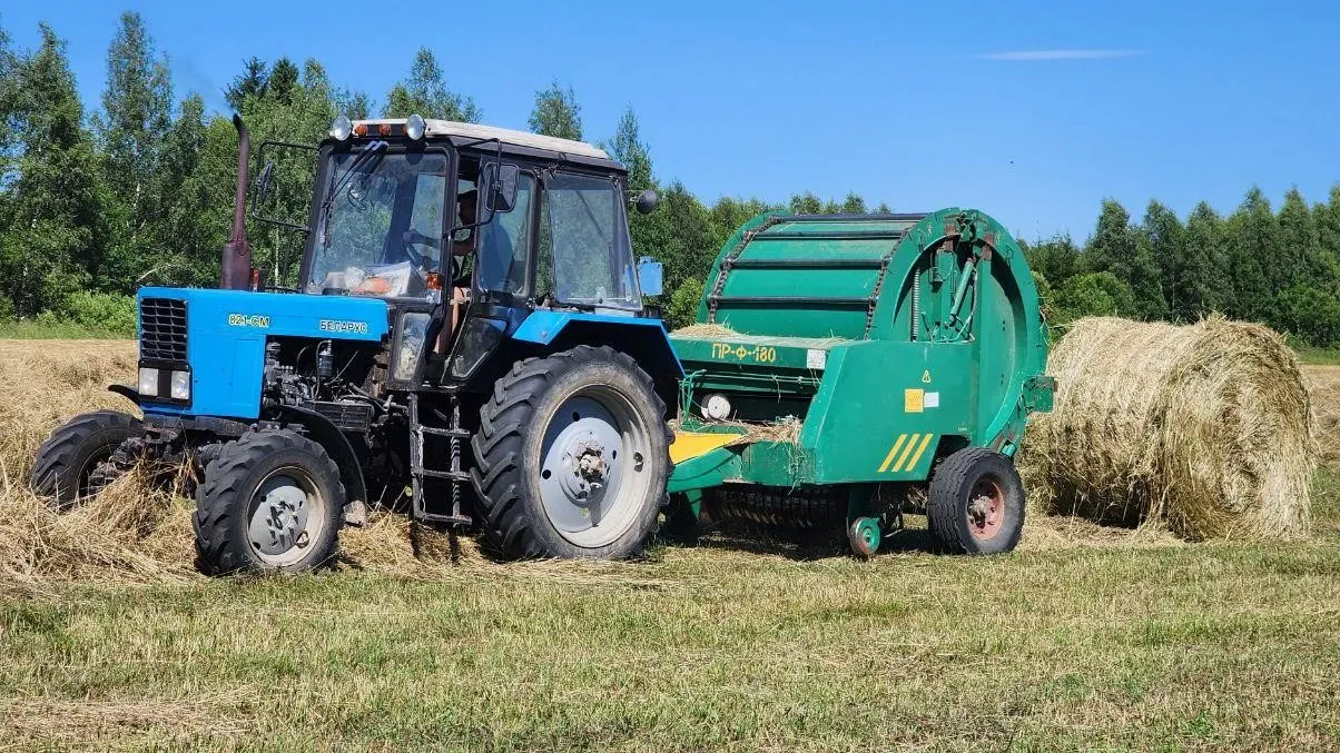 Фото: Яна Шаливская