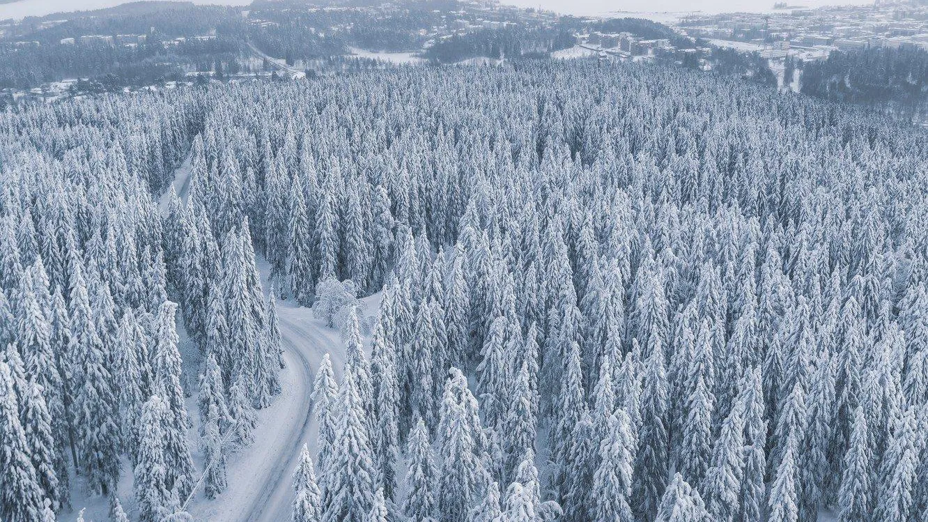 Фото: Pixabay.com