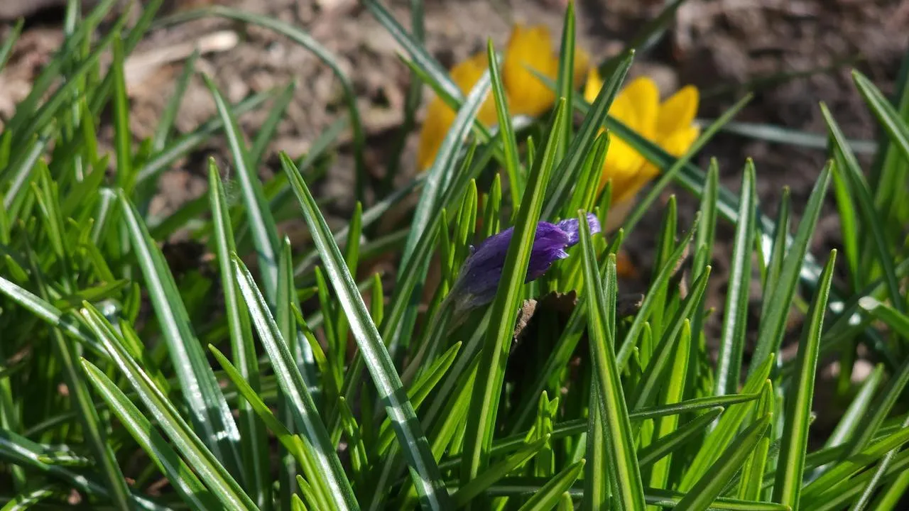 МедиаБанк Подмосковья/Валерия Исаева
