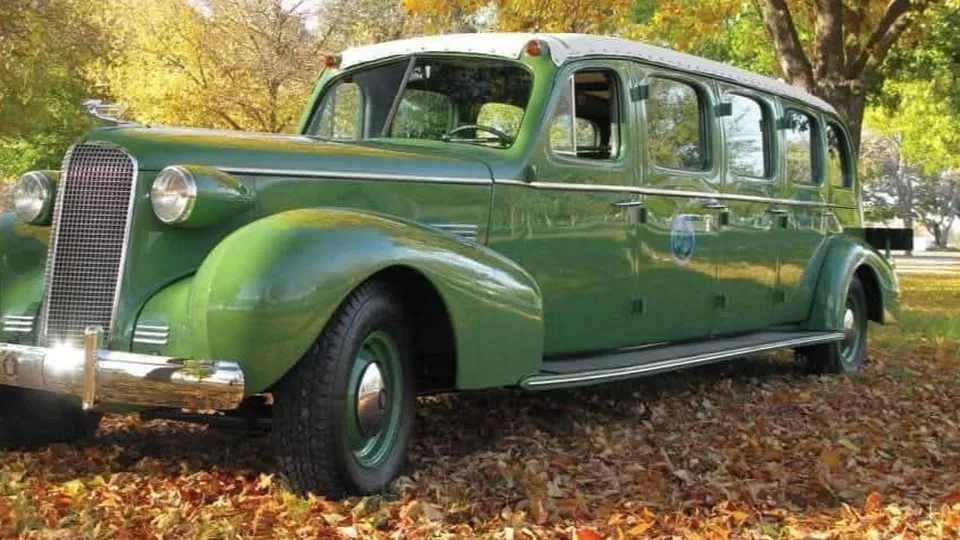 Фото: личный архив Петра Борищева