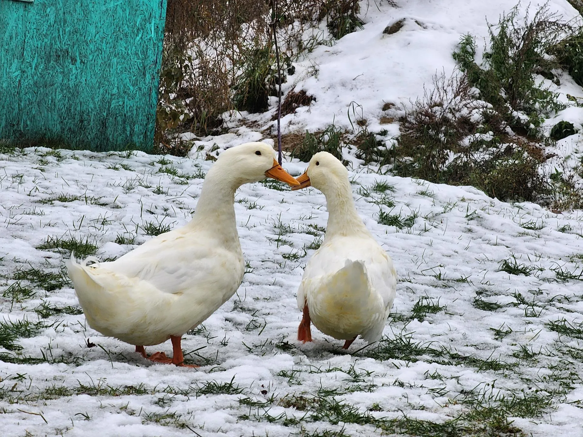 фото: Юлия Андросова