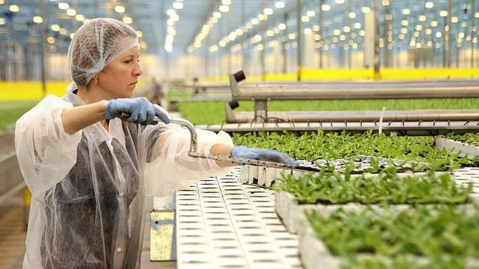 Фото: пресс-служба администрации г.о. Воскресенск