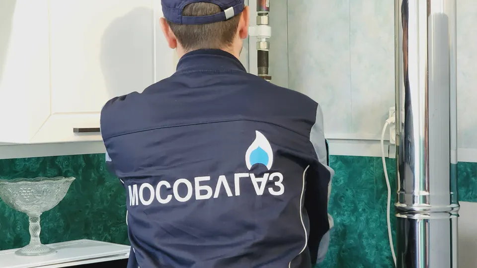 Фото: МедиаБанк Подмосковья/Юлия Андросова