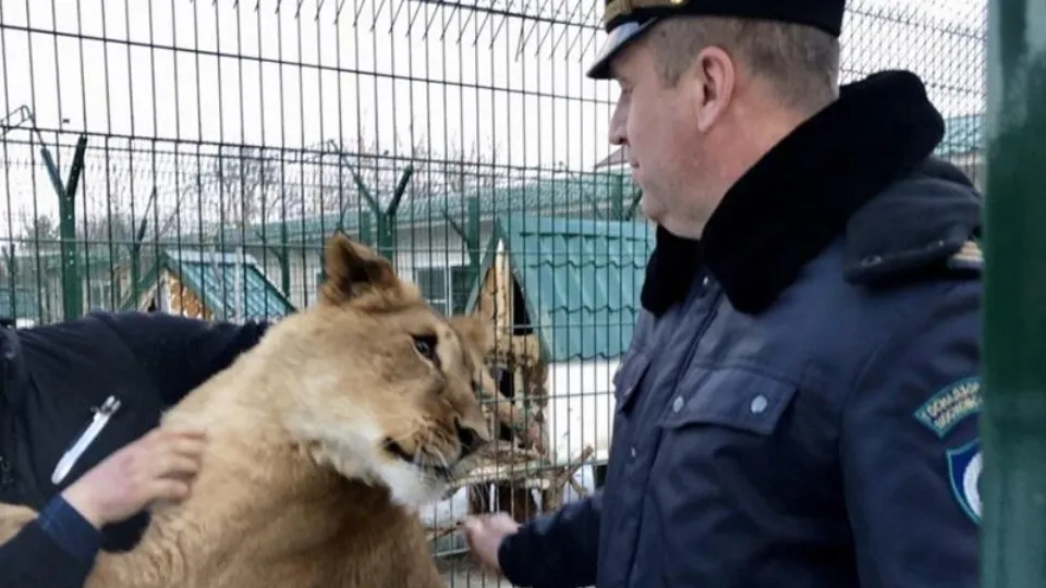 Фото: Министерство экологии и природопользования МО