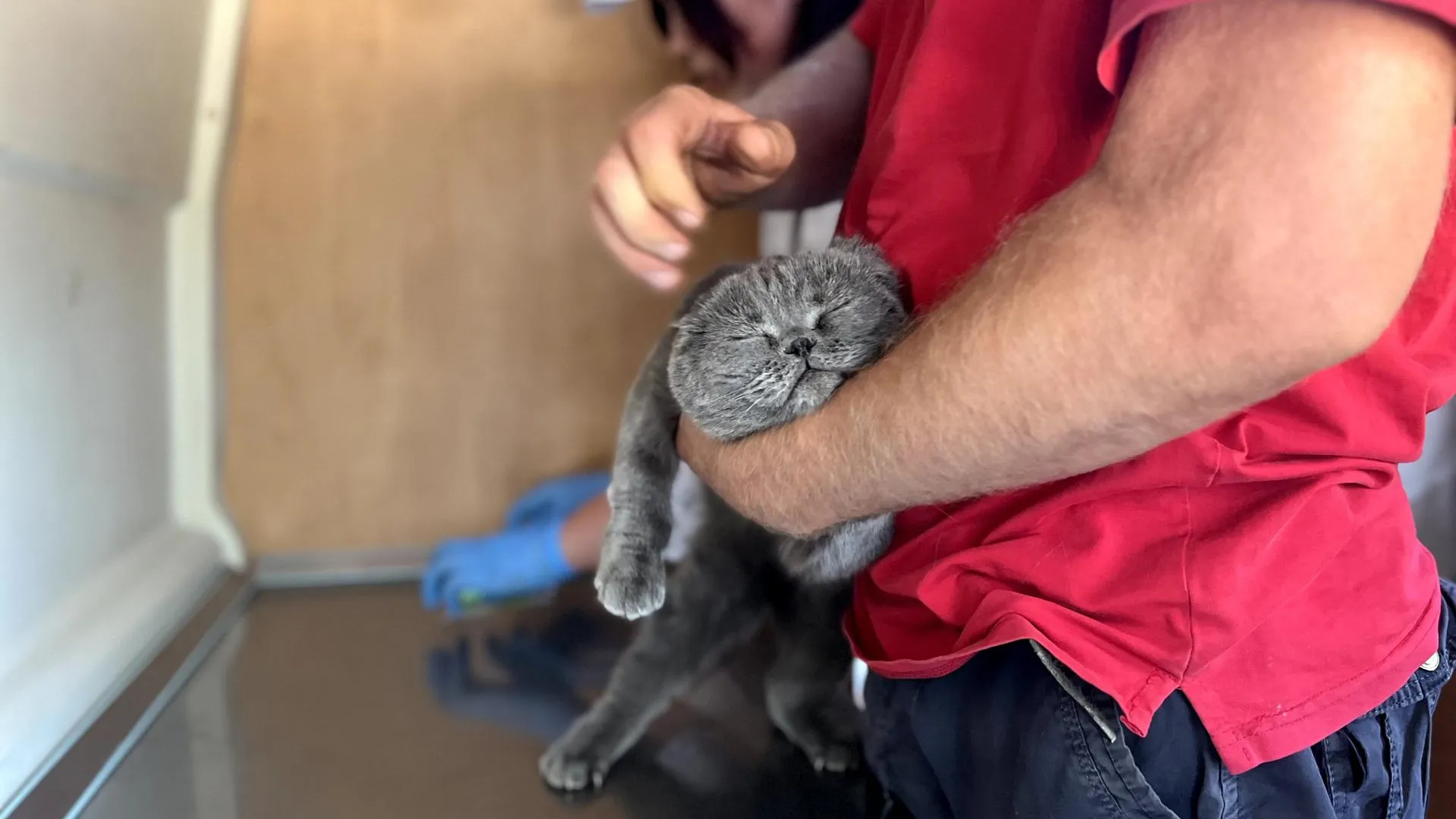 Фото: пресс-служба администрации Наро-Фоминского г.о.