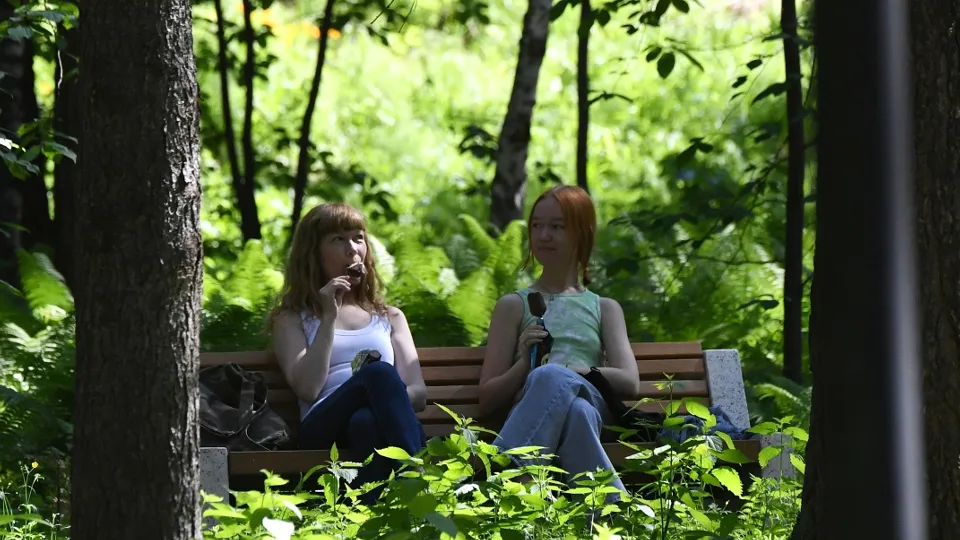 Фото: РИА Новости/Илья Наймушин