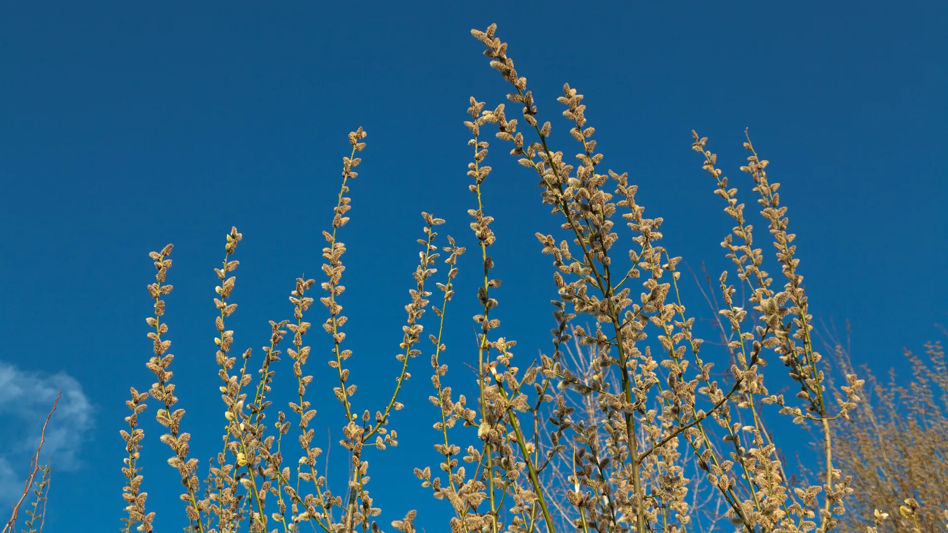 медиасток.рф