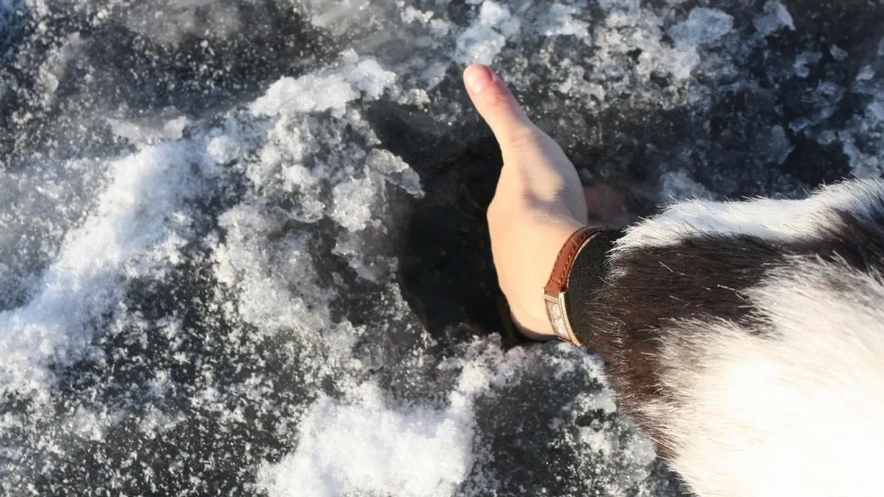 REGIONS/Юлия Алабина