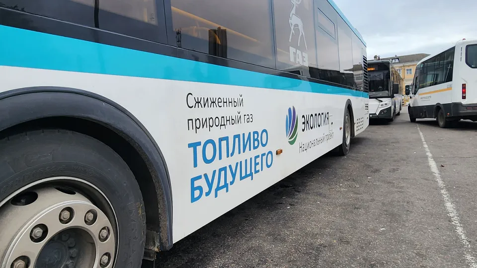 Фото: МедиаБанк Подмосковья/Марина Анисимова