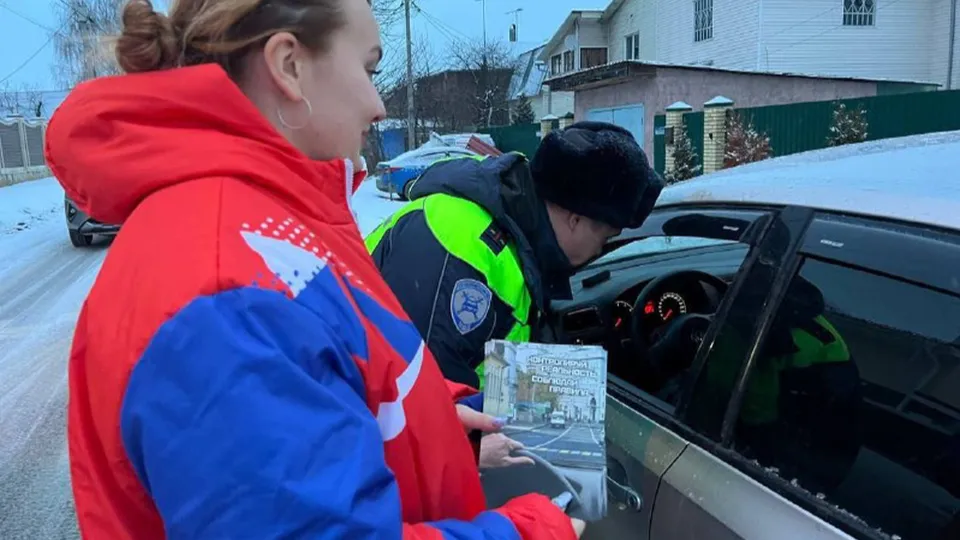 Фото: Волонтеры Домодедова