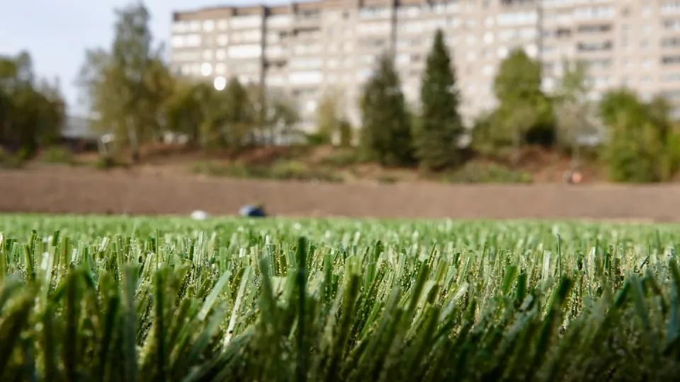 Фото: МедиаБанк Подмосковья/Дарья Леонова