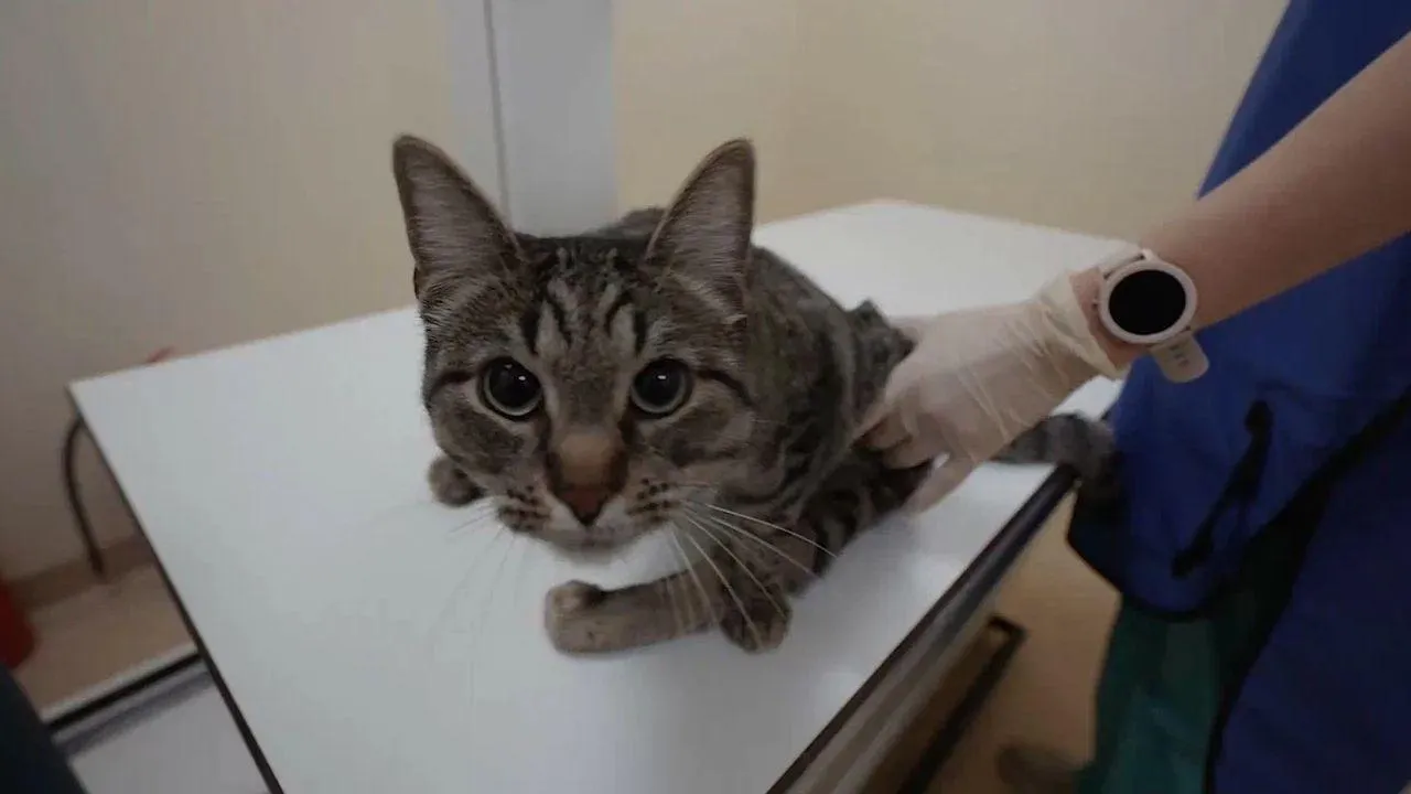 REGIONS/Наталья Надточая