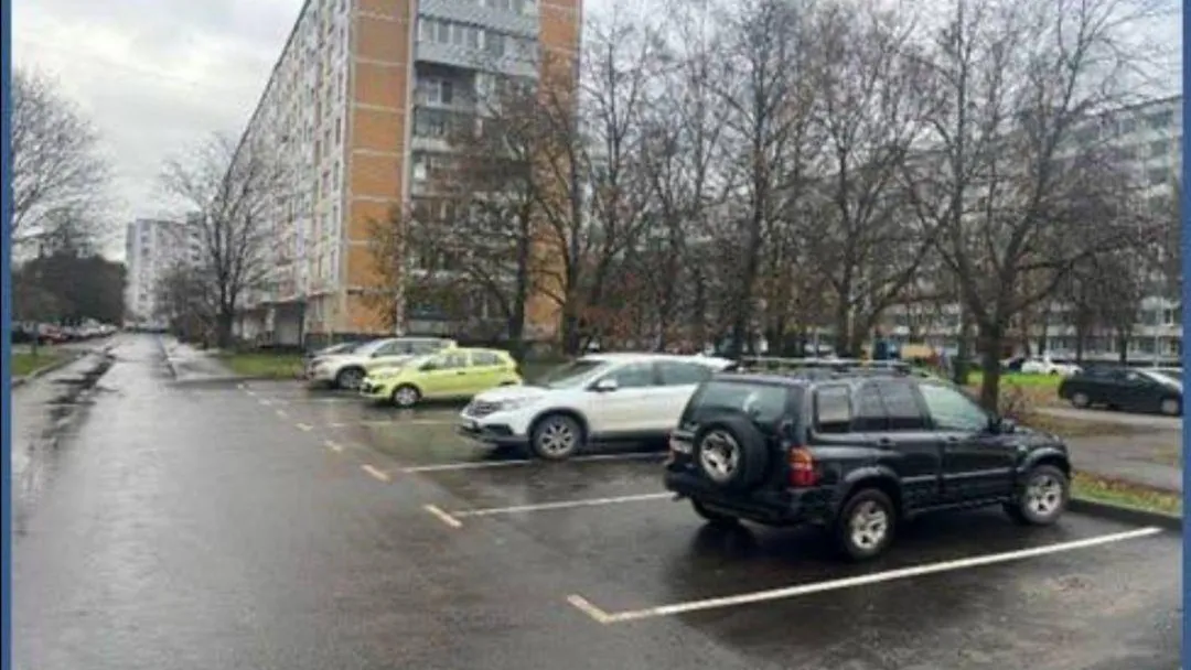 Фото: пресс-служба администрации г. о. Черноголовка