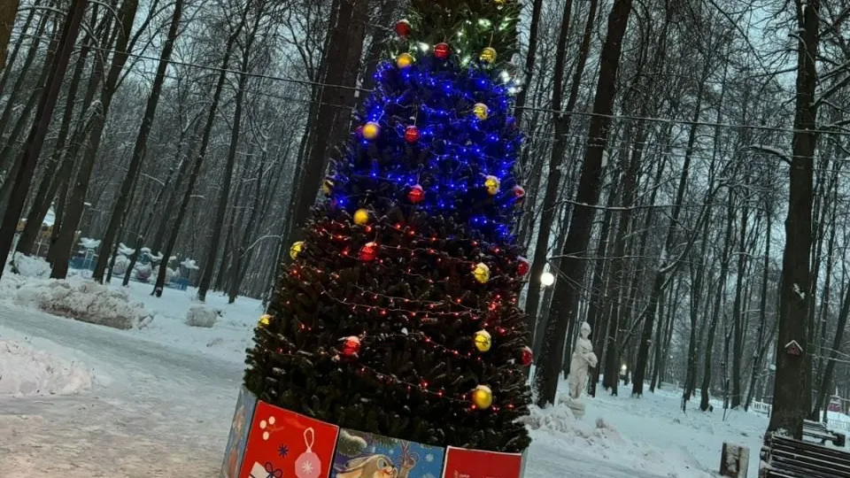 Фото: Лотошинский парк культуры и отдыха