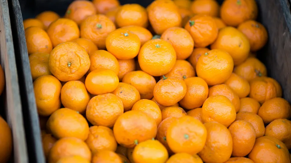 Фото: unsplash.com