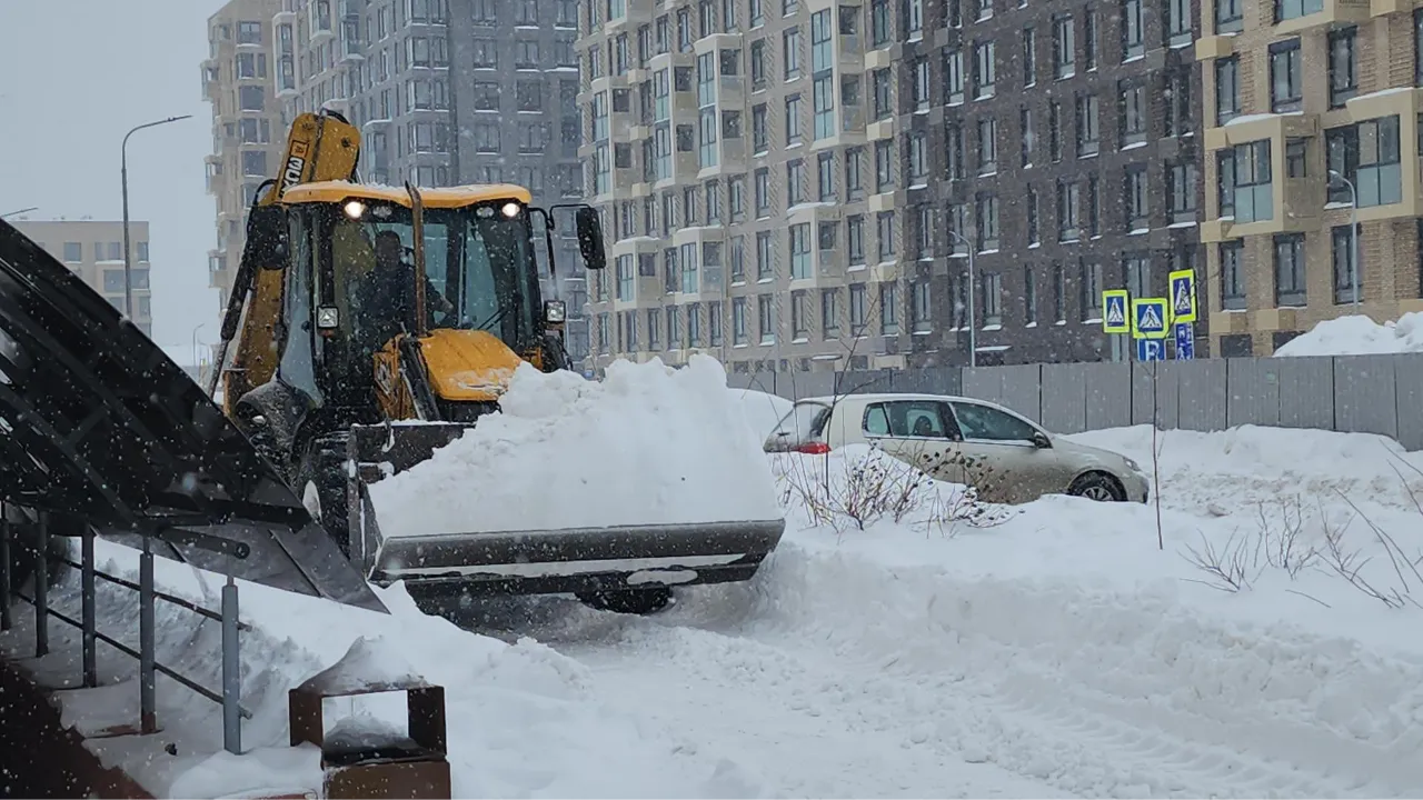 МедиаБанк Подмосковья/Наталья Лымарь