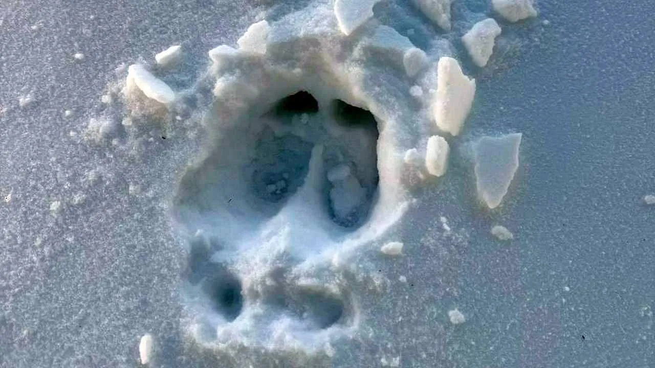 t.me/elk_island_national_park