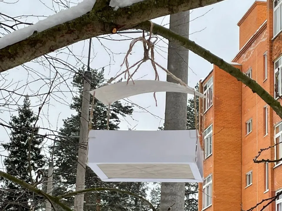 Фото: Юнармия г. о. Щелково