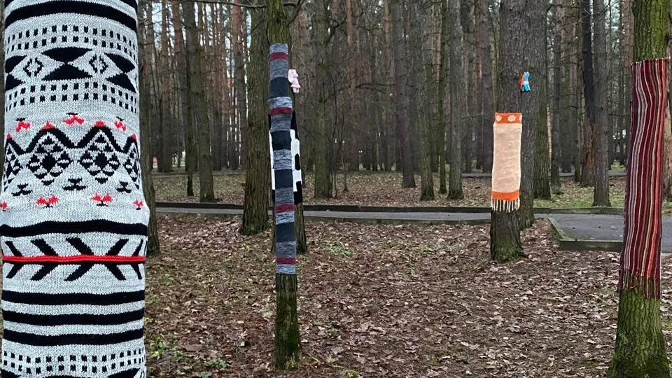 Фото: команда парков Домодедова