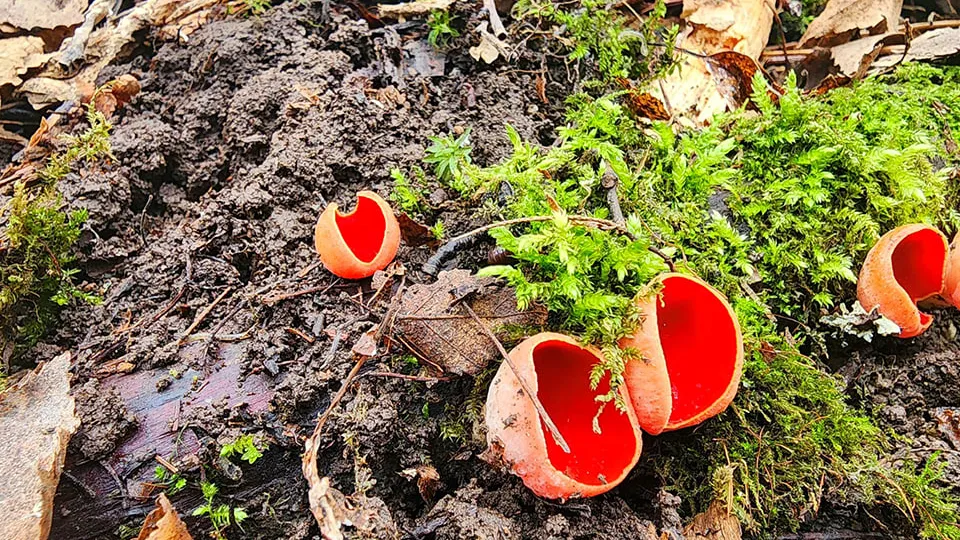 Фото: REGIONS/Мария Панина