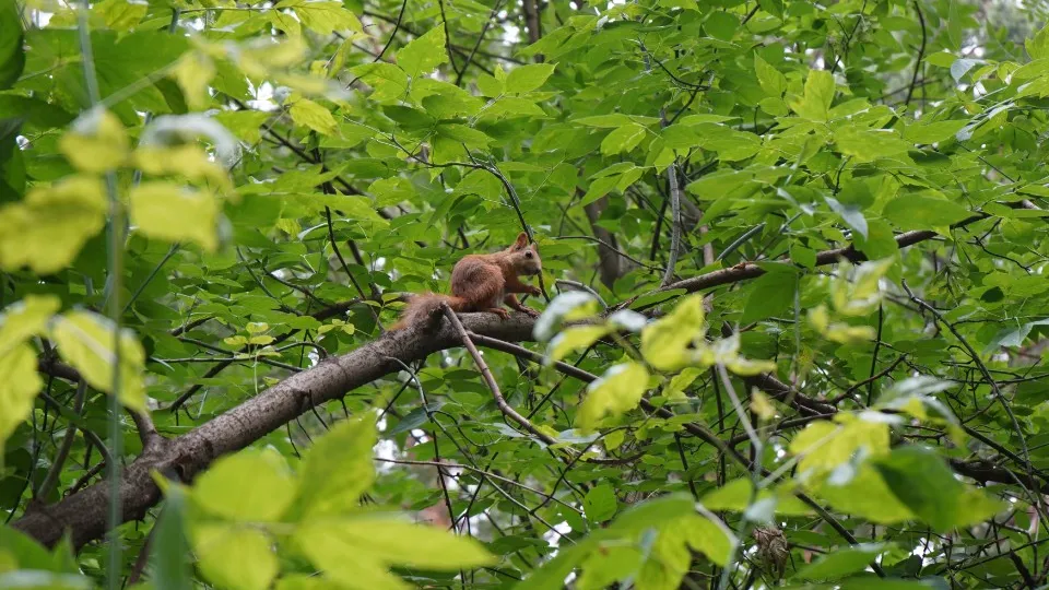 Фото: медиасток.рф