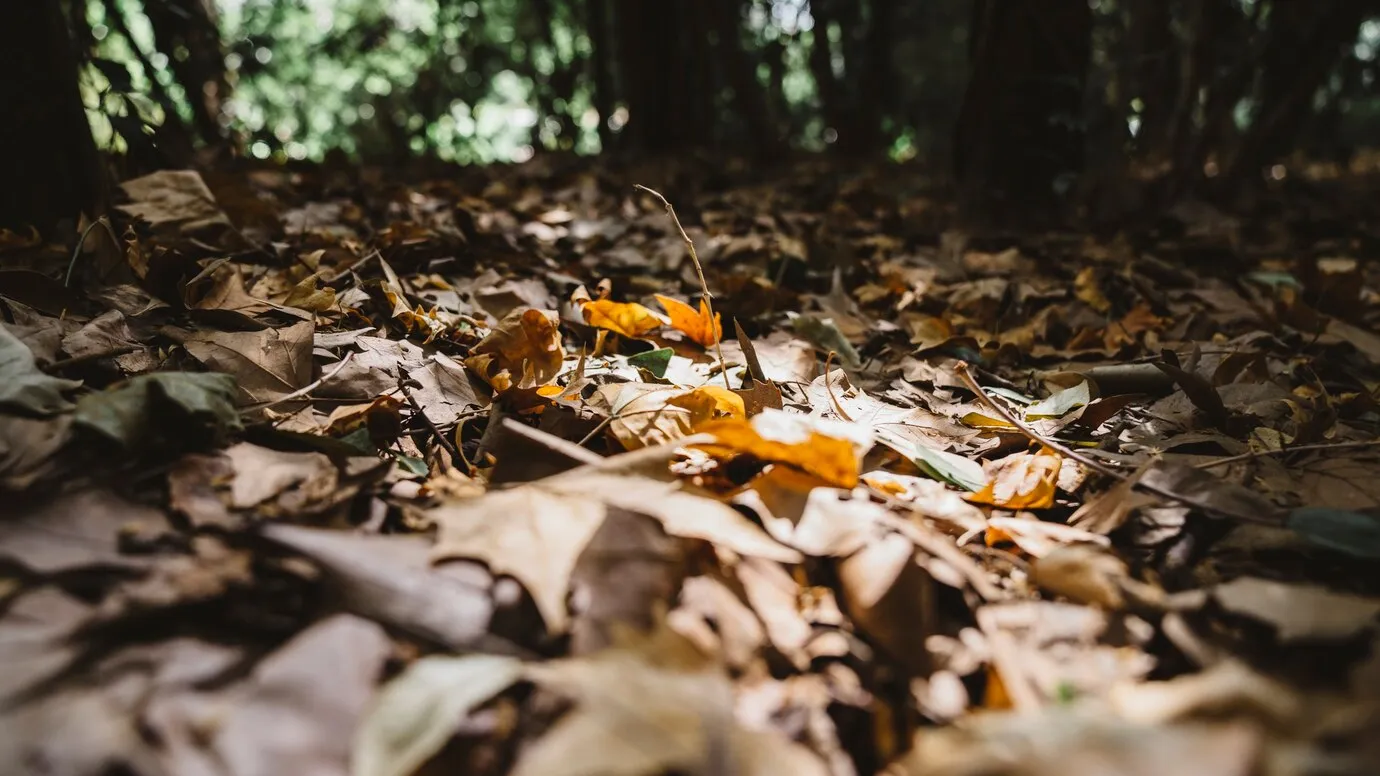 Фото: freepik.com