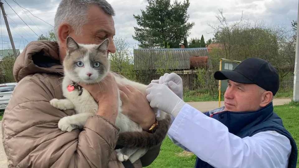 Фото: МедиаБанк Подмосковья/Максимова Валентина