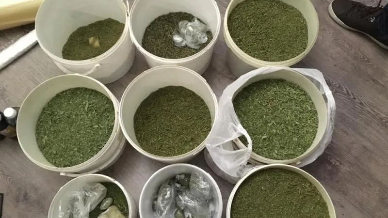 Три кило марихуаны нашли у пенсионера в Можайске