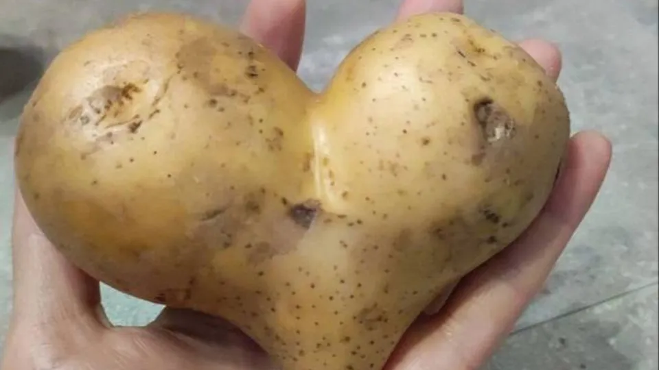 Фото: городская доска объявлений