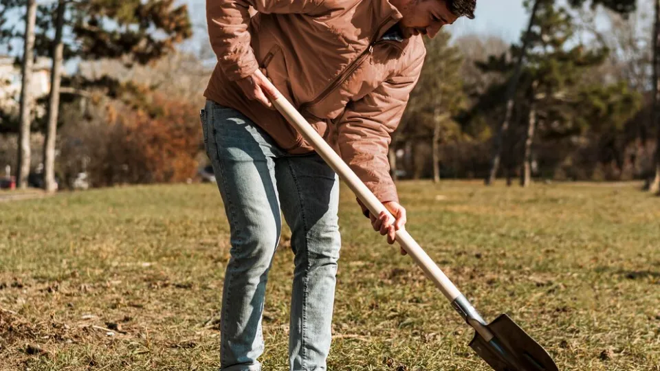 Фото: freepik.com