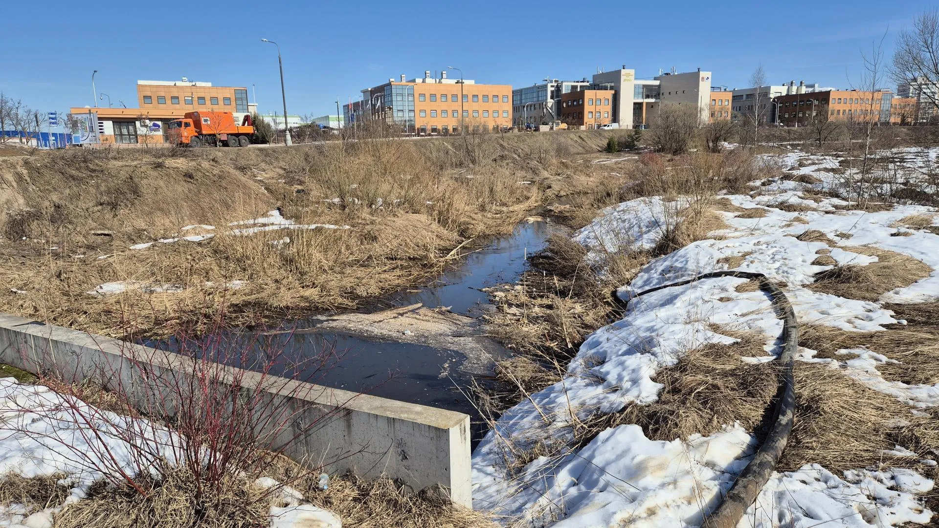 REGIONS/Ольга Панина