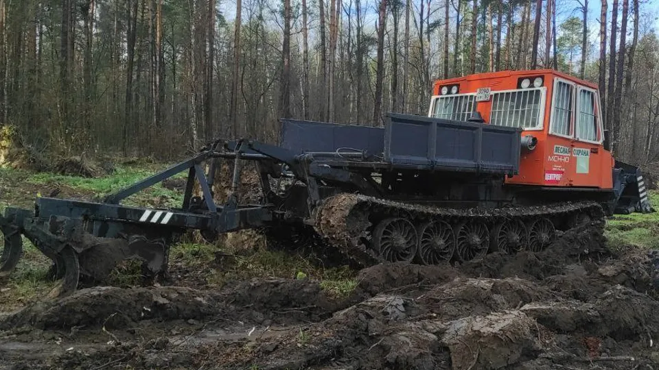 Фото: Комитет лесного хозяйства МО
