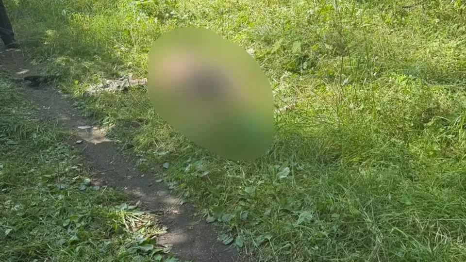 Прокуратура Москвы