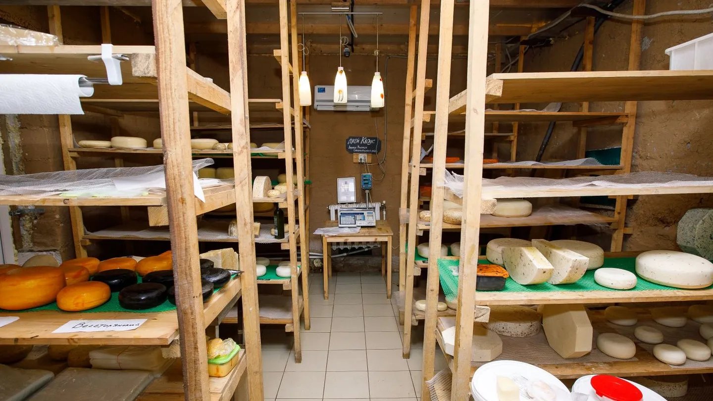 Фото: медиасток.рф